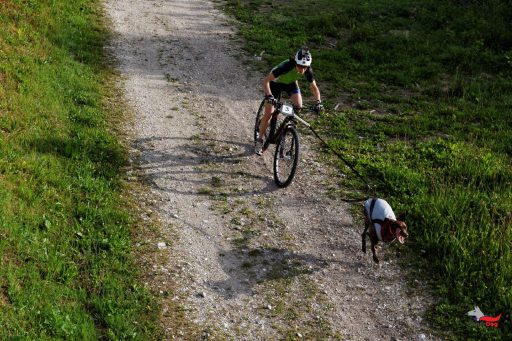 cani-vtt-ou-bikejoring