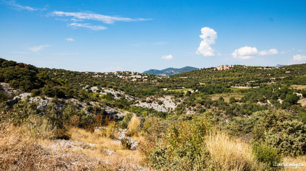 La vallée du Touroulenc