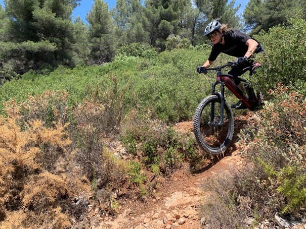 pneu-vtt-michelin-wild-am-2-test