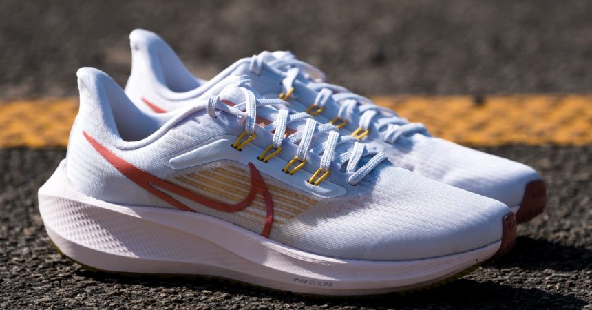 Test de la Nike Pegasus 39